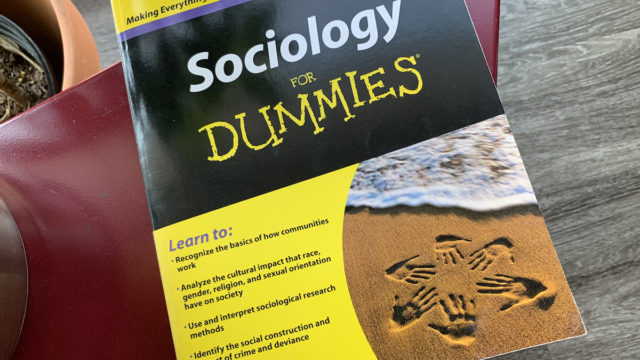 Sociology for Dummies
